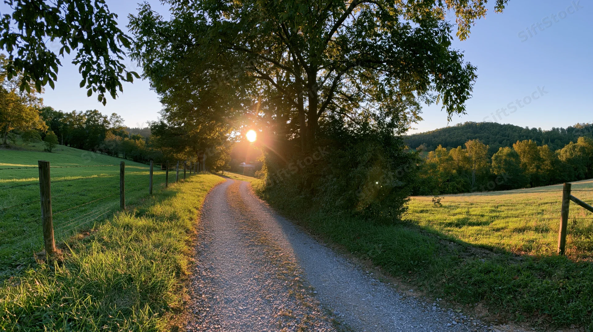 Narrow gravel path curving through green fields at sunrise with trees and fence along the sides