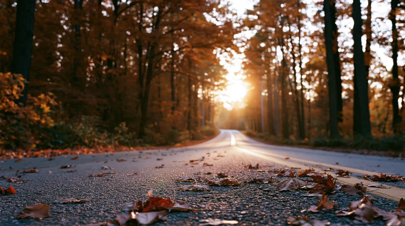 Narrow country road lined with autumn trees and fallen leaves leading into a golden sunset