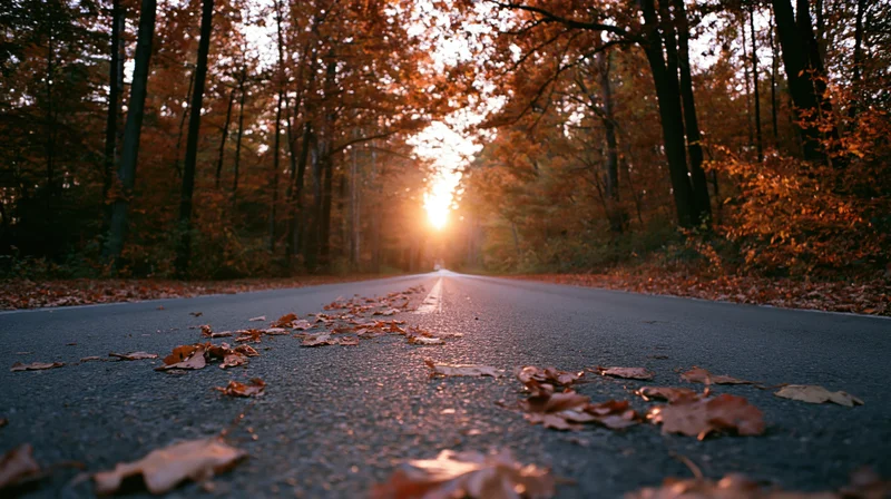 Narrow country road lined with autumn trees and fallen leaves leading to a sunset at the vanishing point