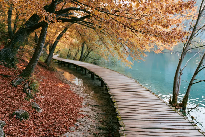 Wooden boardwalk curving along calm lake edge in autumn forest
