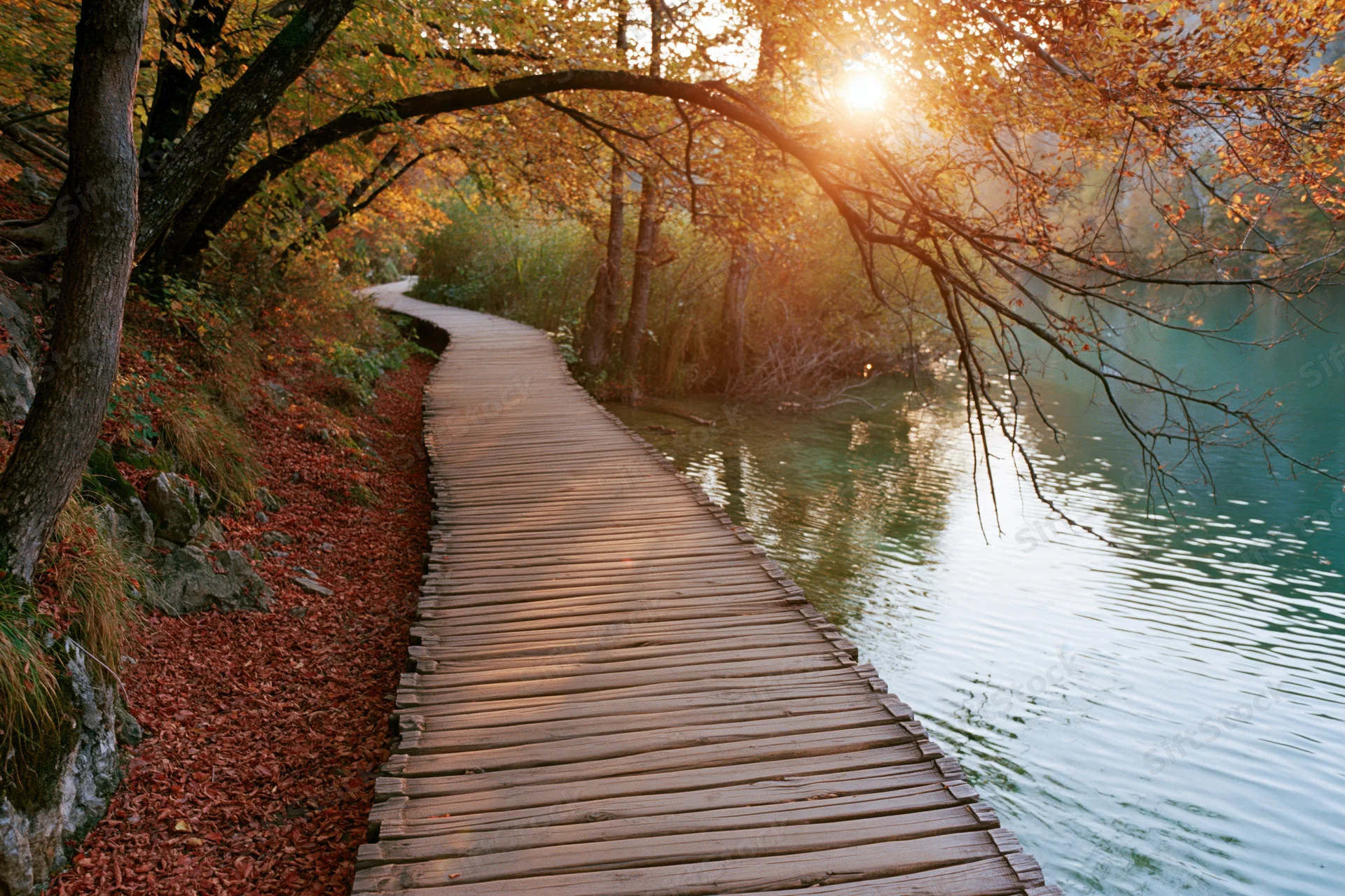 Wooden boardwalk curving along calm lake edge through autumn trees at sunset