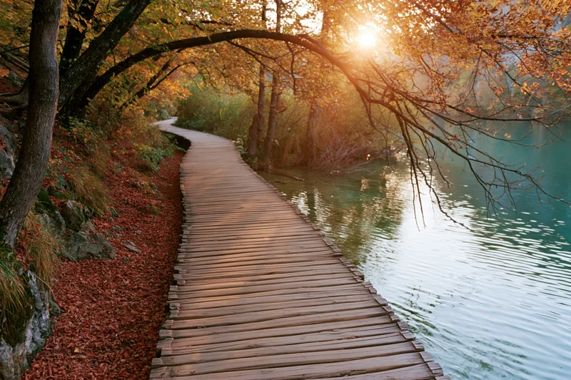 Wooden boardwalk curving along calm lake edge through autumn trees at sunset