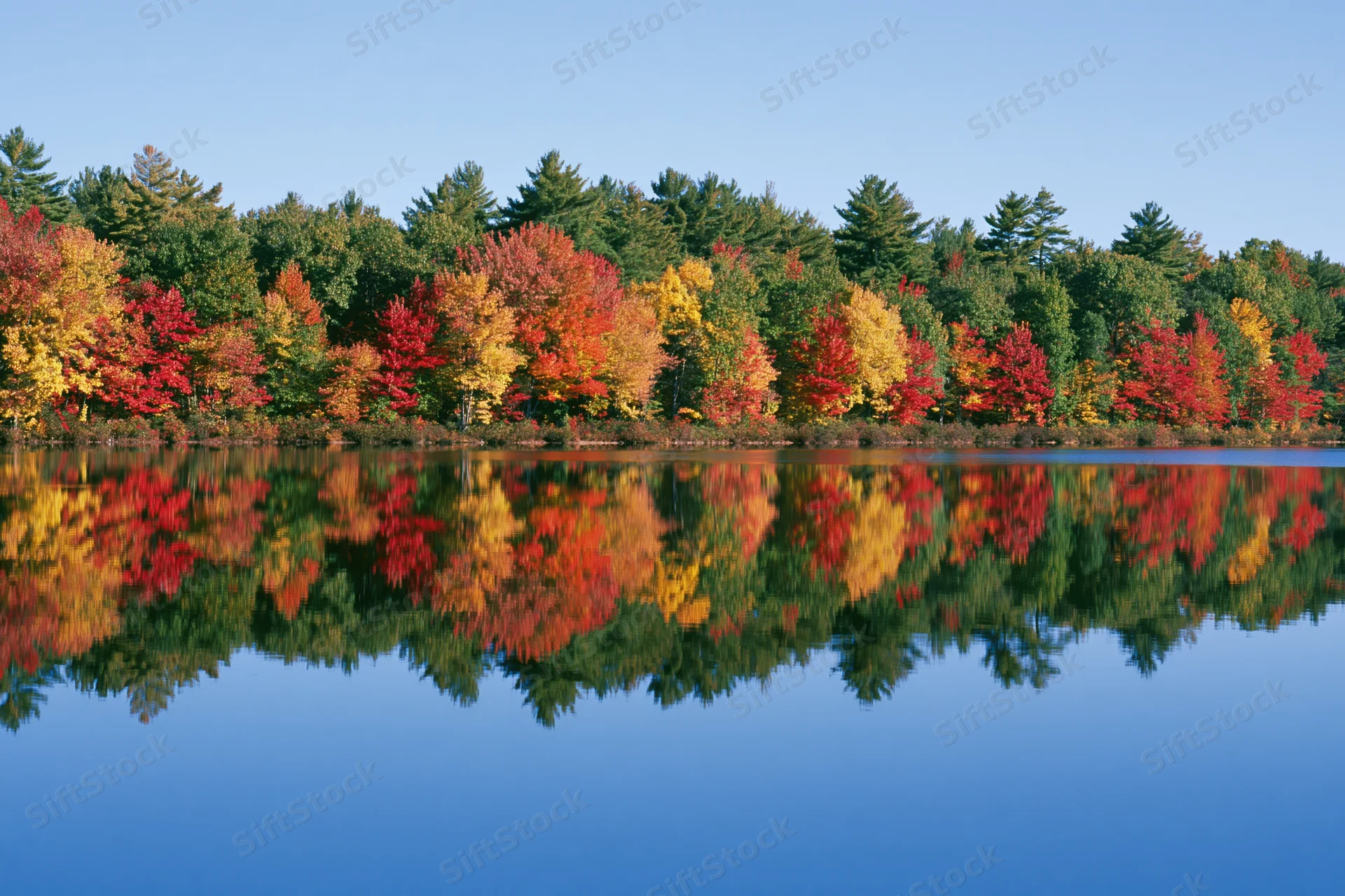 Colorful autumn trees reflected in calm lake water along forested shoreline