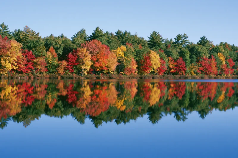 Colorful autumn trees reflected in calm lake water along forested shoreline