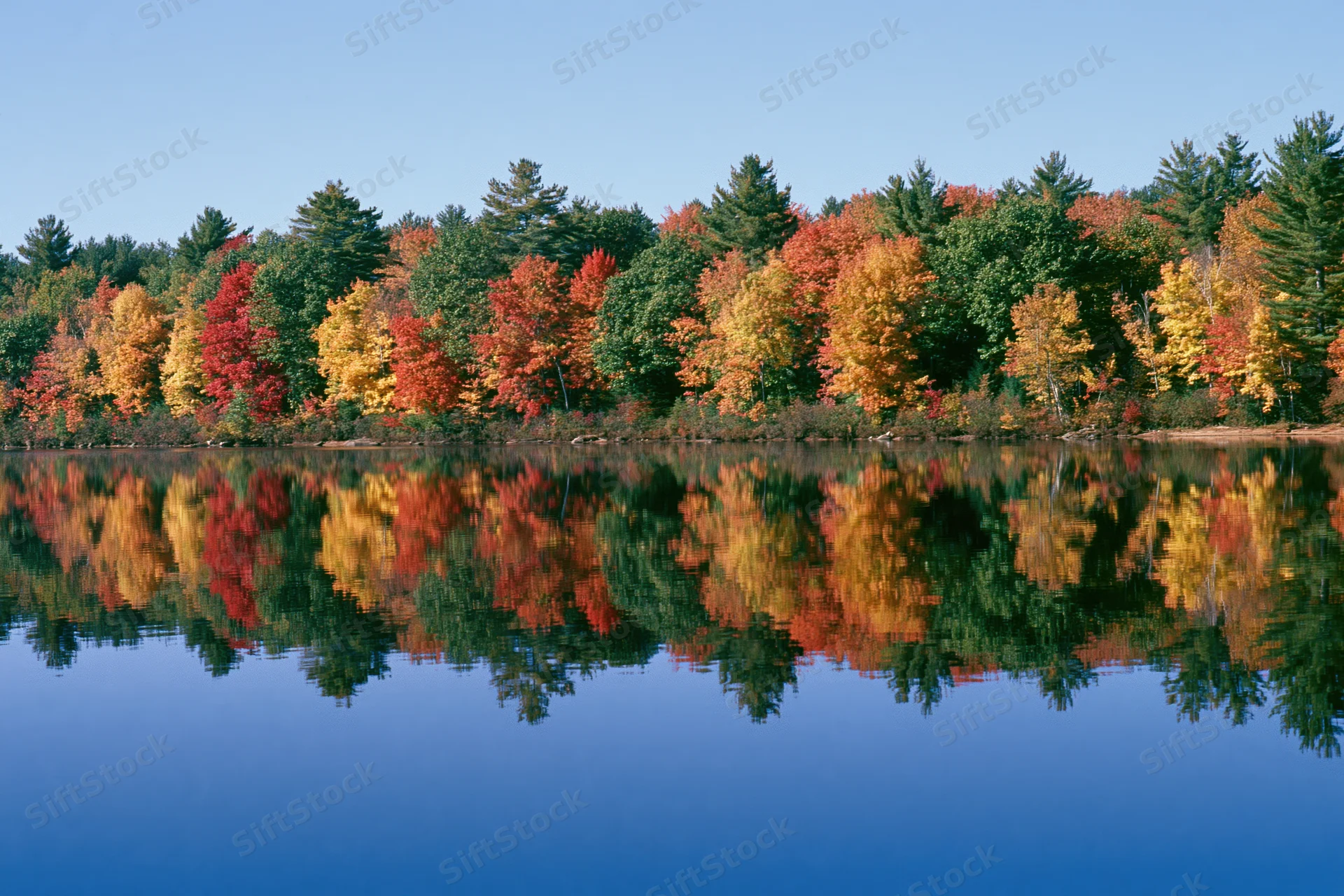 Autumn trees lining a calm lake with their colorful foliage reflected in the still water