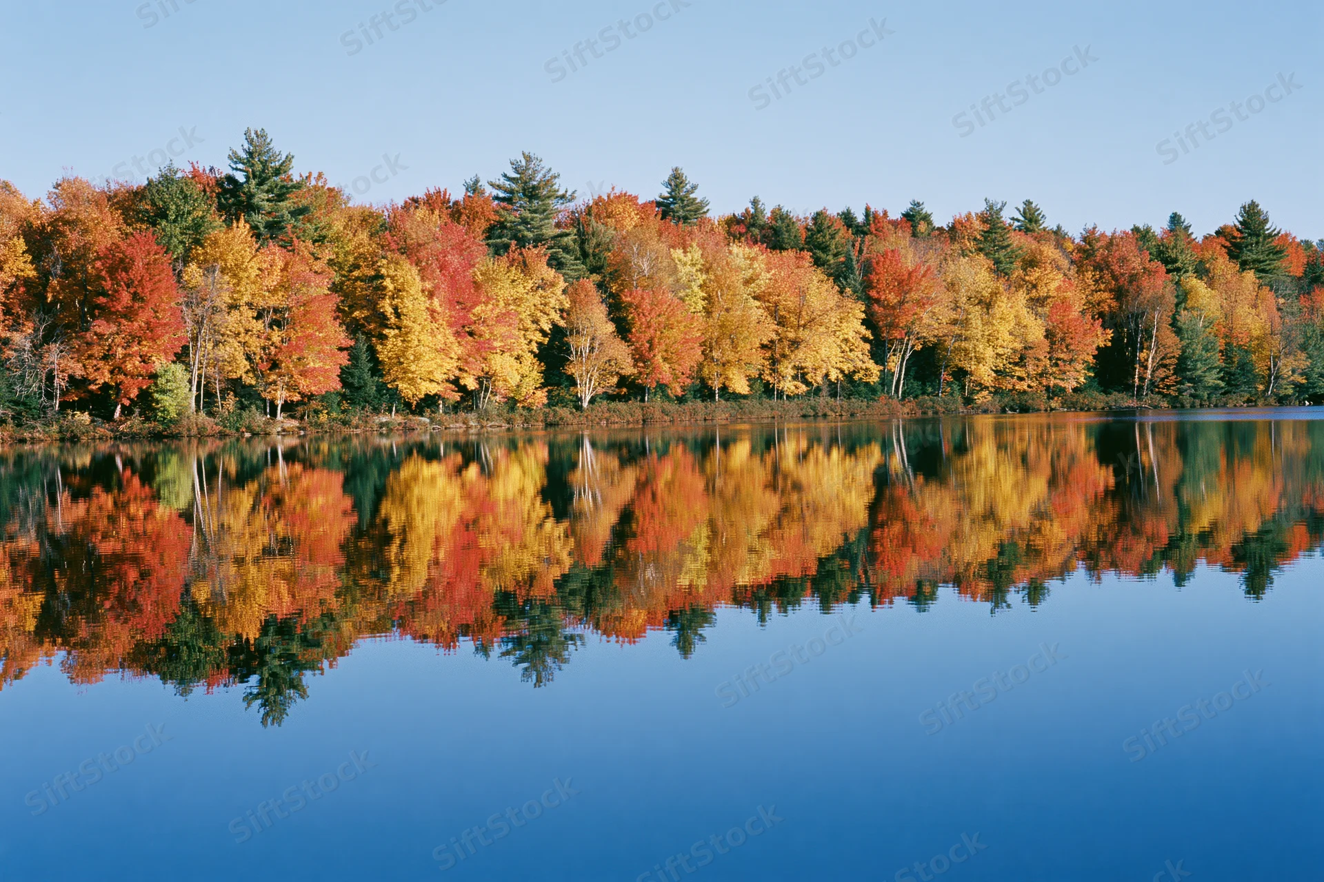 Autumn trees reflected in calm lake water along New England shoreline