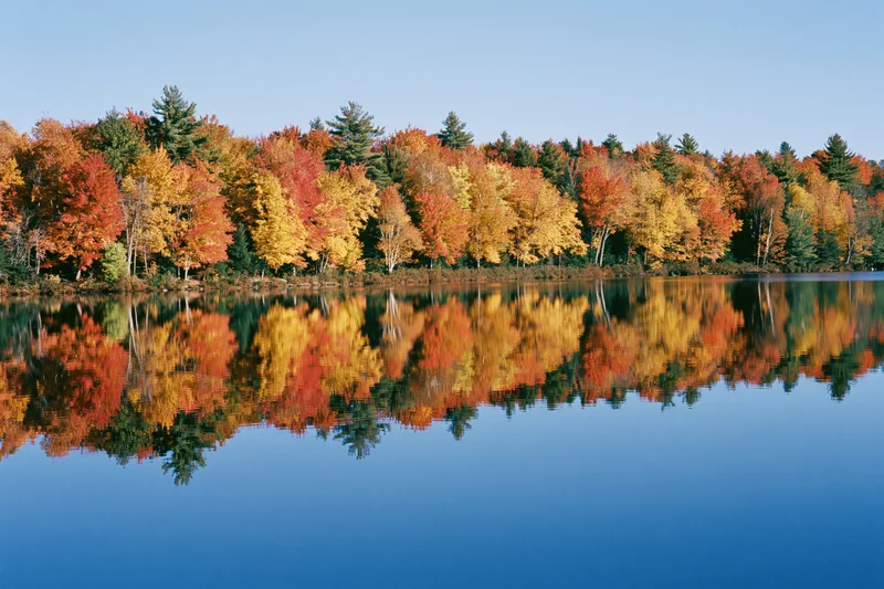 Autumn trees reflected in calm lake water along New England shoreline
