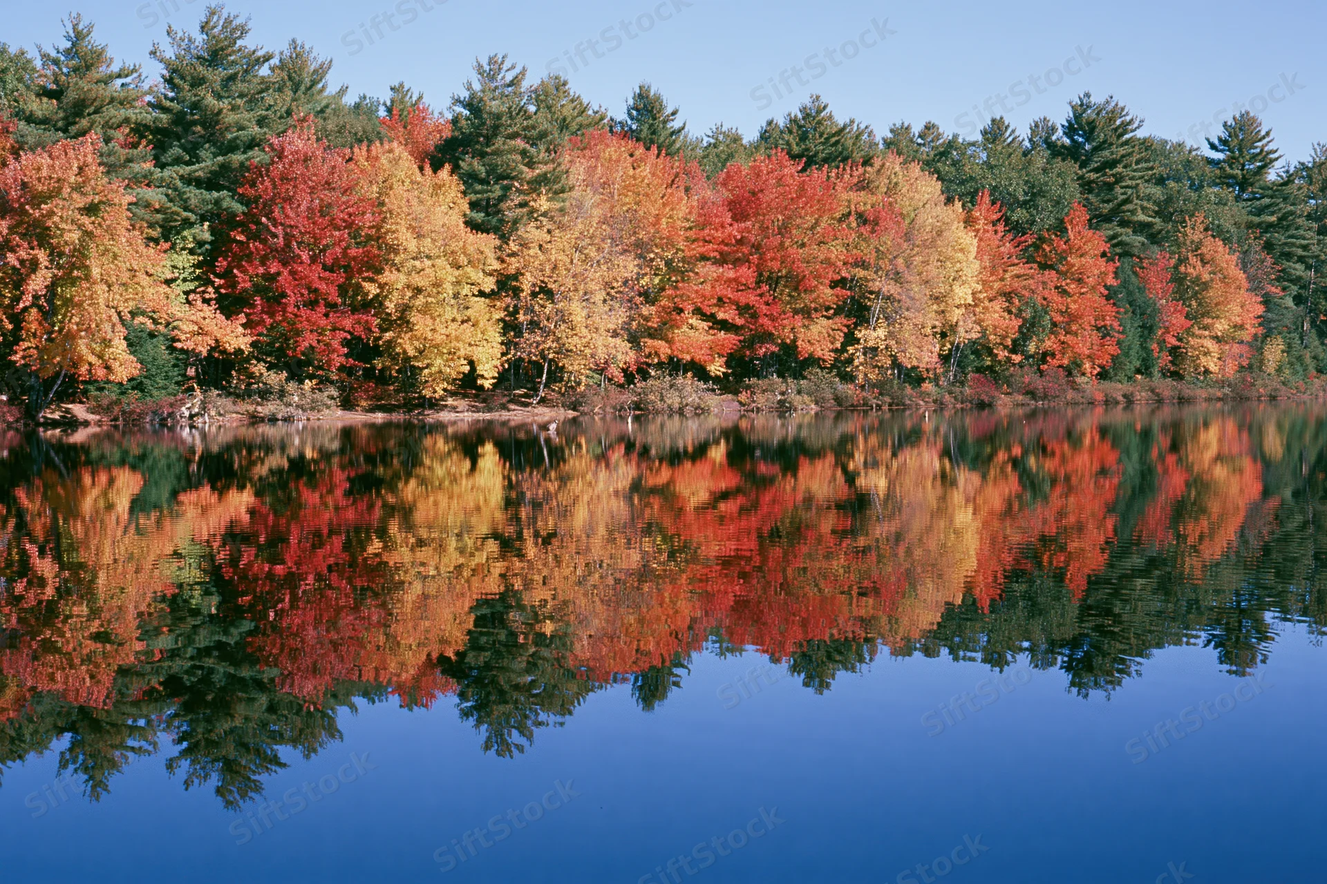 Autumn trees lining a calm lake with their colorful foliage reflected in the still water