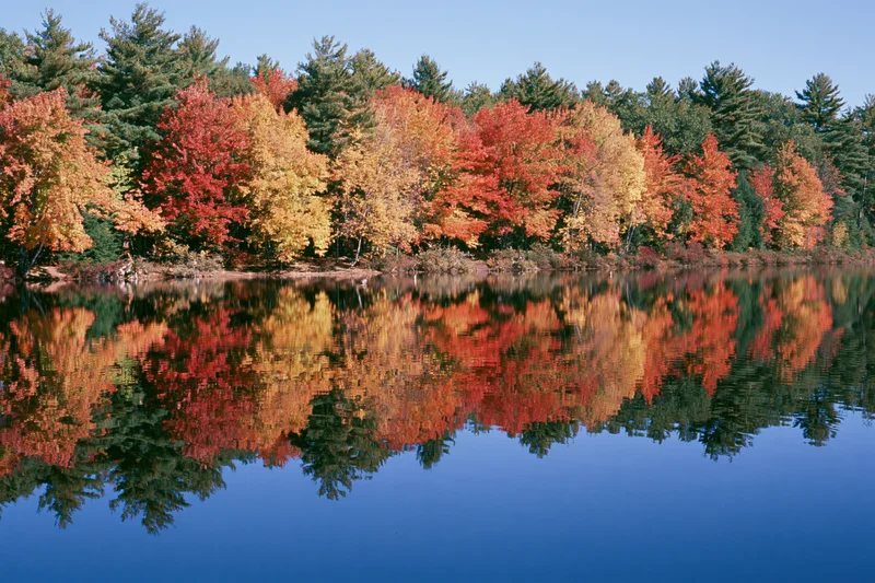 Autumn trees lining a calm lake with their colorful foliage reflected in the still water