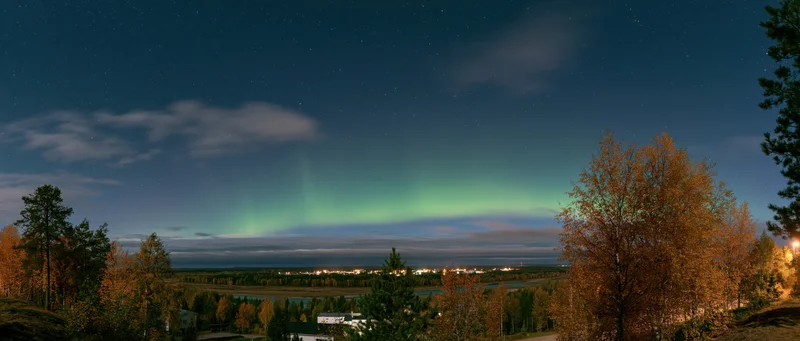 Aurora glowing green and teal low on the horizon over a forested landscape with autumn trees and distant town lights