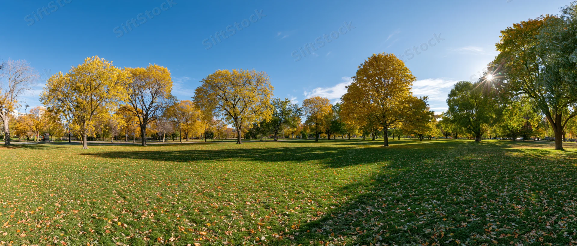 Wide panoramic view of a city park in autumn with golden trees and green grass under a clear blue sky