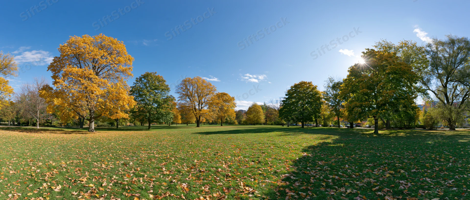 Wide panoramic view of a city park in autumn with colorful trees and grassy field under a clear blue sky