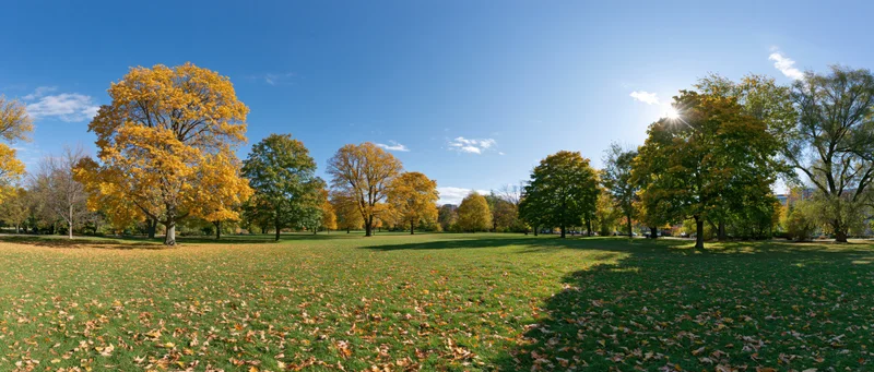 Wide panoramic view of a city park in autumn with colorful trees and grassy field under a clear blue sky