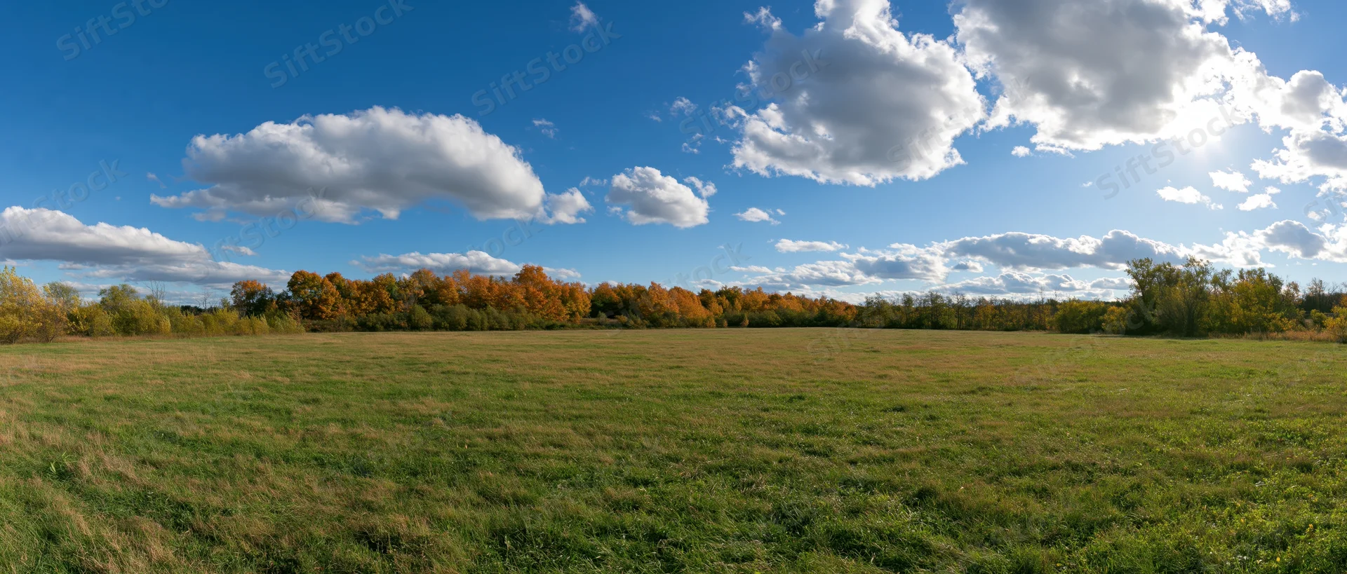 Wide panoramic view of an open grassy meadow with autumn trees under a blue sky with white clouds