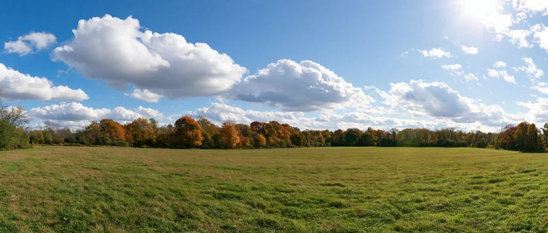 Wide panoramic view of an open grassy meadow with autumn trees under a bright blue sky with scattered clouds