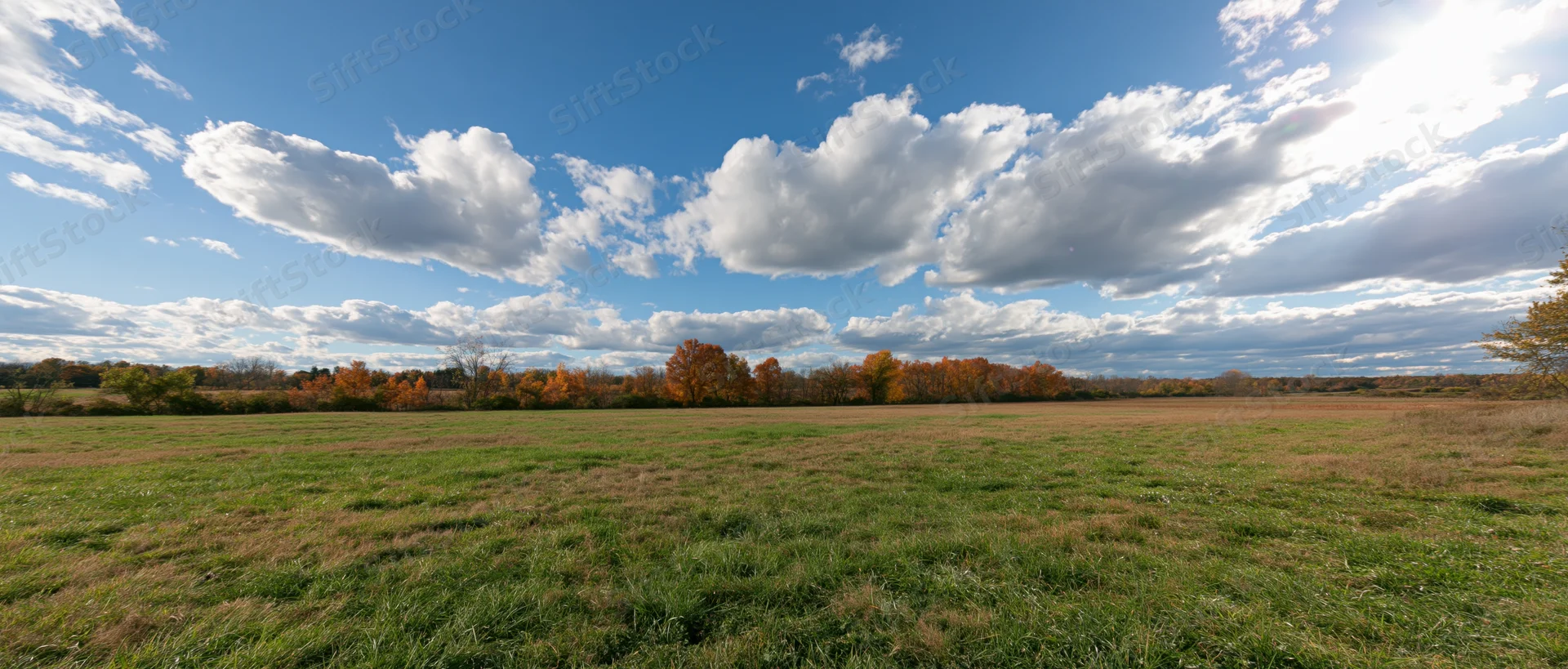 Wide panoramic view of an open grassy meadow under a blue sky with scattered white clouds and autumn-colored trees along the horizon