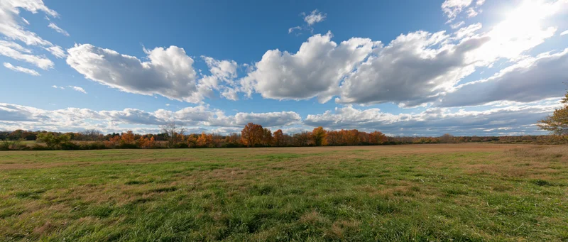 Wide panoramic view of an open grassy meadow under a blue sky with scattered white clouds and autumn-colored trees along the horizon