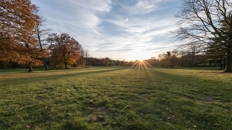 Wide view of a grassy park meadow in early autumn with sunlight rising over the horizon