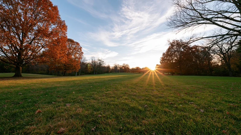 Wide autumn landscape of a grassy park meadow with trees and sunrise