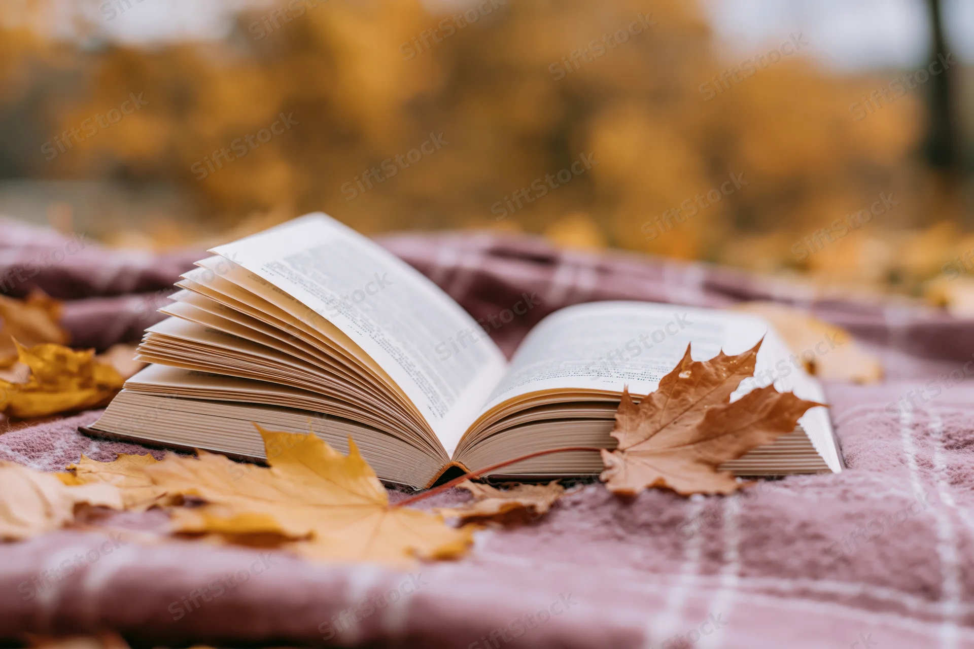 Open hardcover book resting on a plaid wool blanket surrounded by autumn leaves outdoors