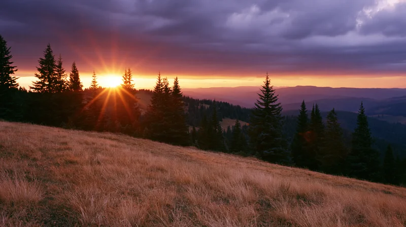 Sunset over a mountain meadow with pine trees silhouetted against a cloudy sky at golden hour