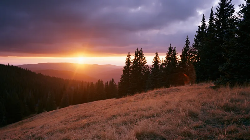 Sunset over a mountain meadow with pine trees and distant hills at golden hour
