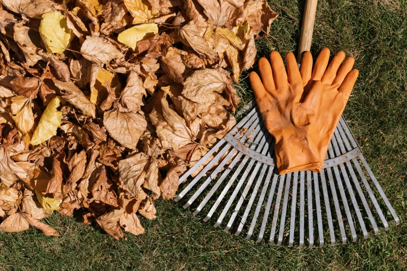 Orange rubber gloves resting on a metal rake beside a pile of dry autumn leaves on grass