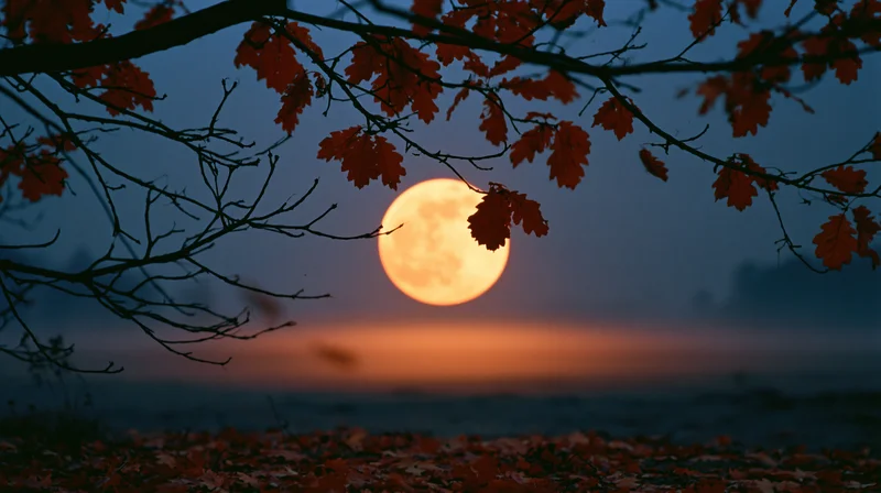 Full moon glowing amber-orange rising low behind silhouetted tree branches with red autumn leaves at twilight