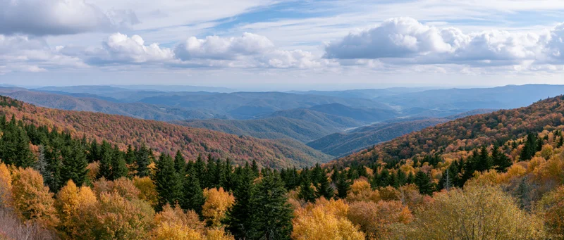 Panoramic view of autumn mountains covered in mixed conifer and deciduous forest under a cloudy sky