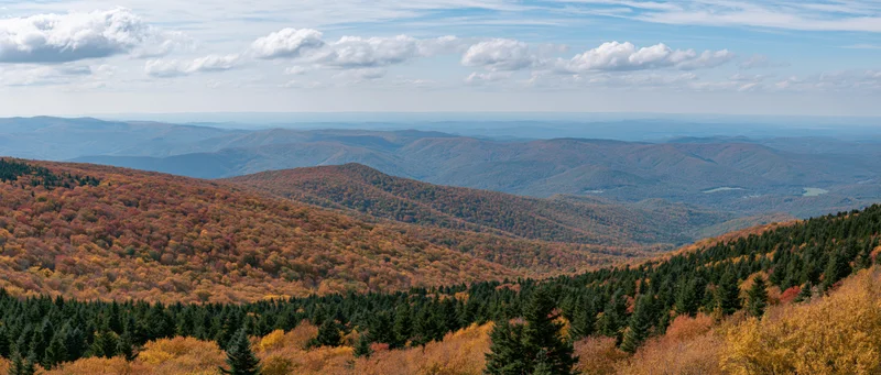 Panoramic view of autumn mountains covered in mixed conifer and deciduous forest under a partly cloudy sky