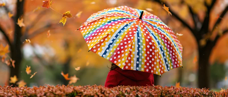 Woman holding colorful polka dot umbrella in autumn park with falling leaves