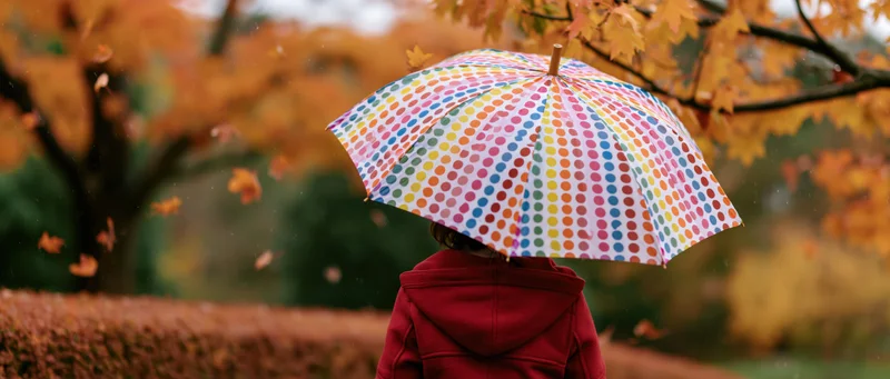 Woman in red hoodie holding colorful polka dot umbrella in autumn park with falling leaves