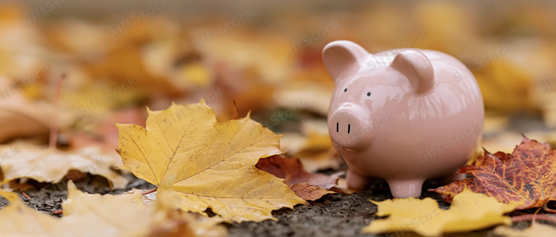 Pink ceramic piggy bank sitting on ground covered with fallen autumn maple leaves