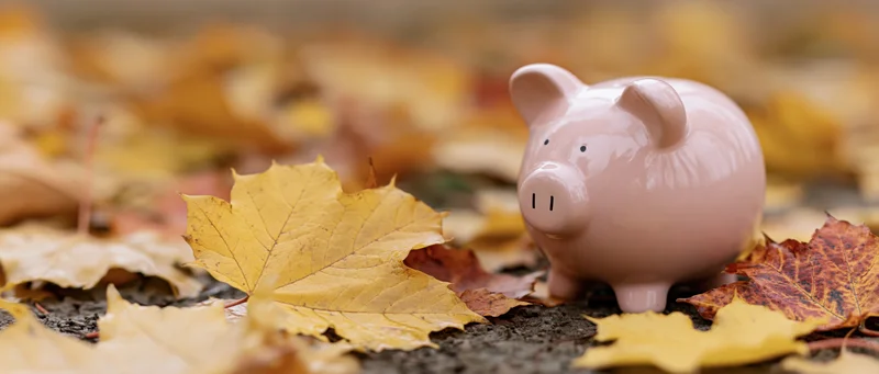 Pink ceramic piggy bank sitting on ground covered with fallen autumn maple leaves