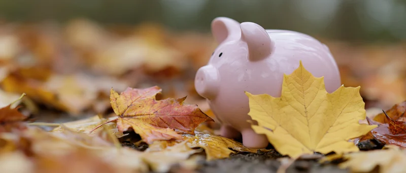 Pink ceramic piggy bank sitting on ground covered with fallen autumn leaves