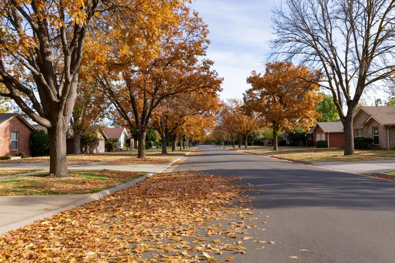Suburban street lined with mature trees in autumn, leaves scattered on pavement and lawns, houses along both sides