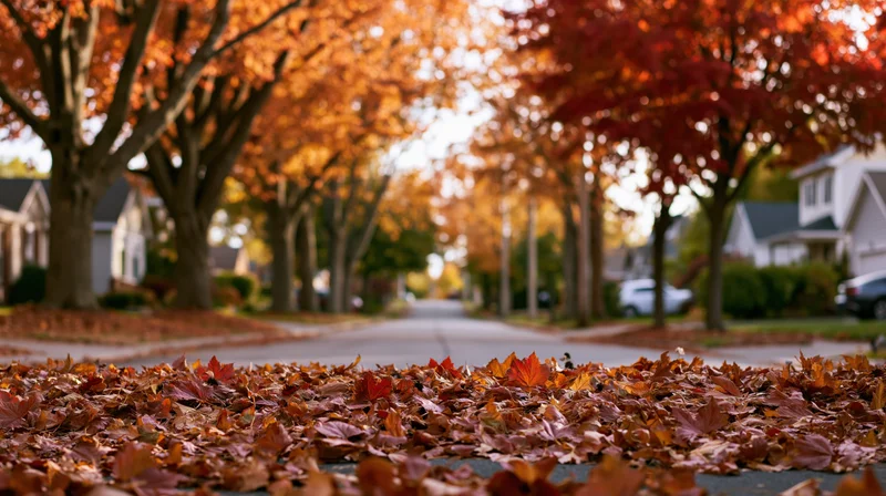 Autumn leaves covering a quiet residential street lined with colorful trees