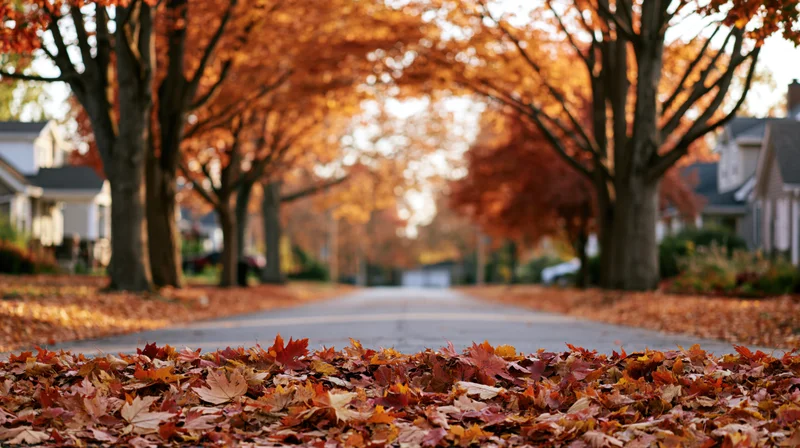 Autumn leaves covering a quiet residential street lined with mature trees in full fall color