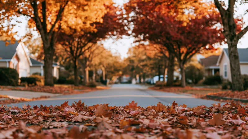 Autumn leaves covering a quiet residential street lined with trees in full fall color