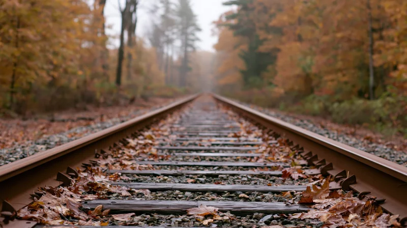 Railroad tracks covered in autumn leaves receding into a misty forest