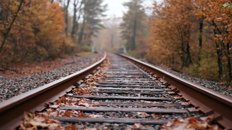 Railroad tracks curving through autumn forest with fallen leaves and misty background