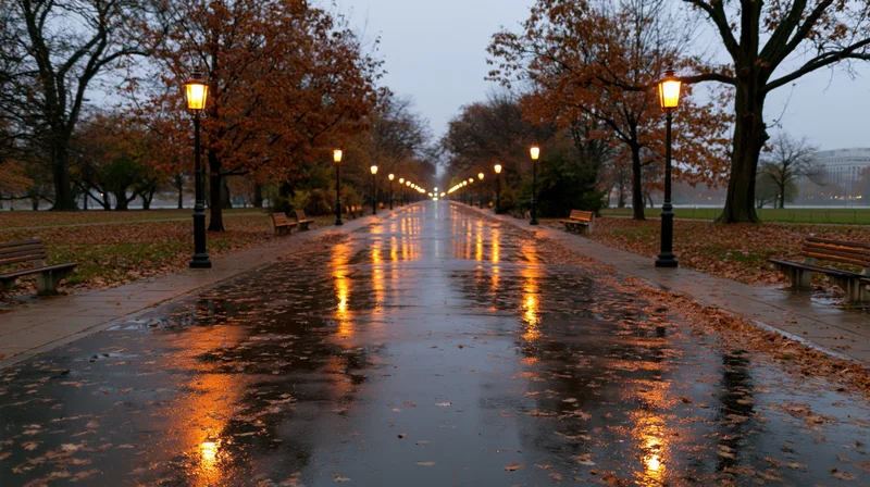 Wet park path lined with glowing lampposts and autumn trees at twilight