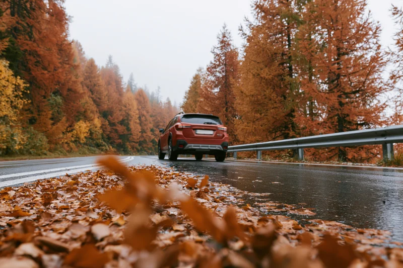 Red suv driving away on wet mountain road lined with autumn trees and fallen leaves