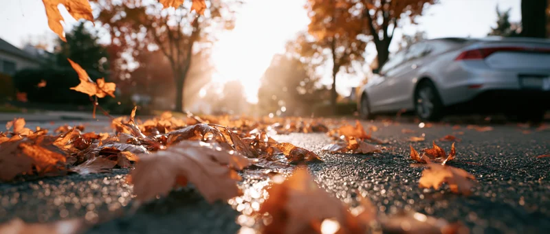 Autumn leaves swirling and falling across a suburban street pavement at golden hour