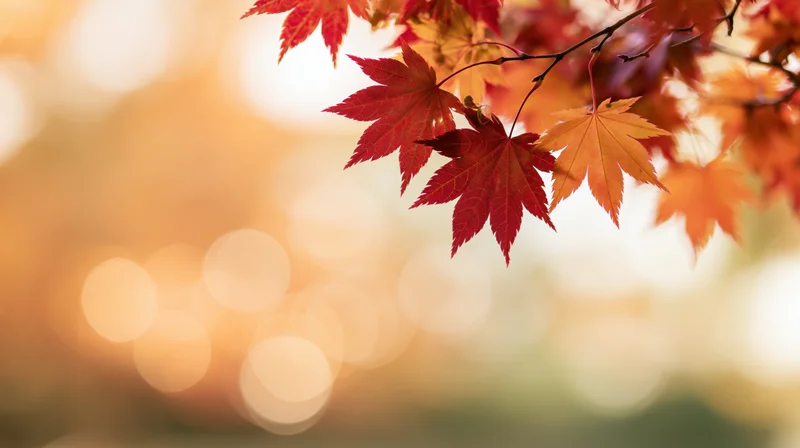 Red and orange maple leaves on a branch against a blurred golden background
