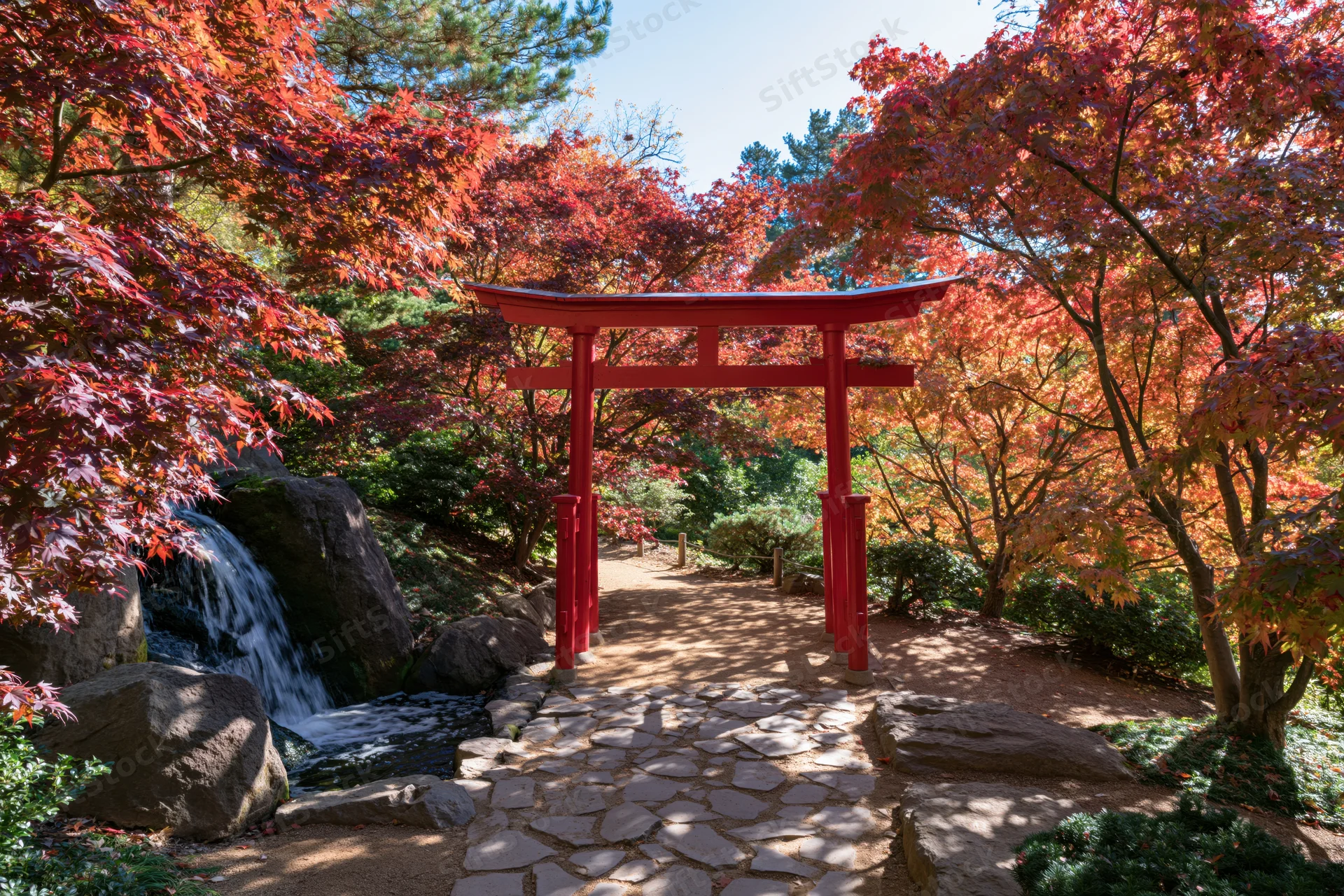 Red torii gate over stone path in autumn japanese garden with waterfall and maple trees