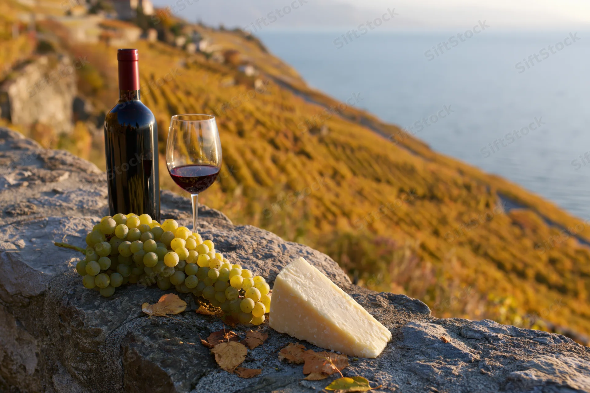 Red wine glass and bottle with green grapes and cheese on stone ledge overlooking vineyard and sea at sunset