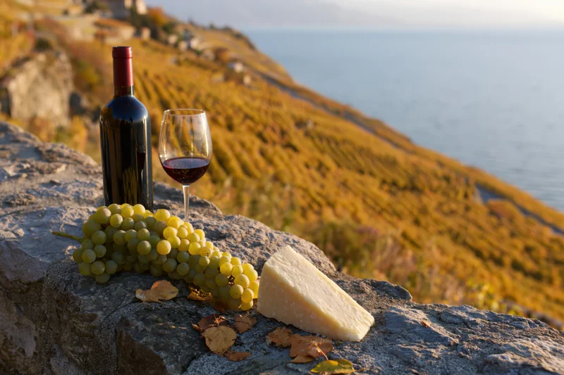 Red wine glass and bottle with green grapes and cheese on stone ledge overlooking vineyard and sea at sunset
