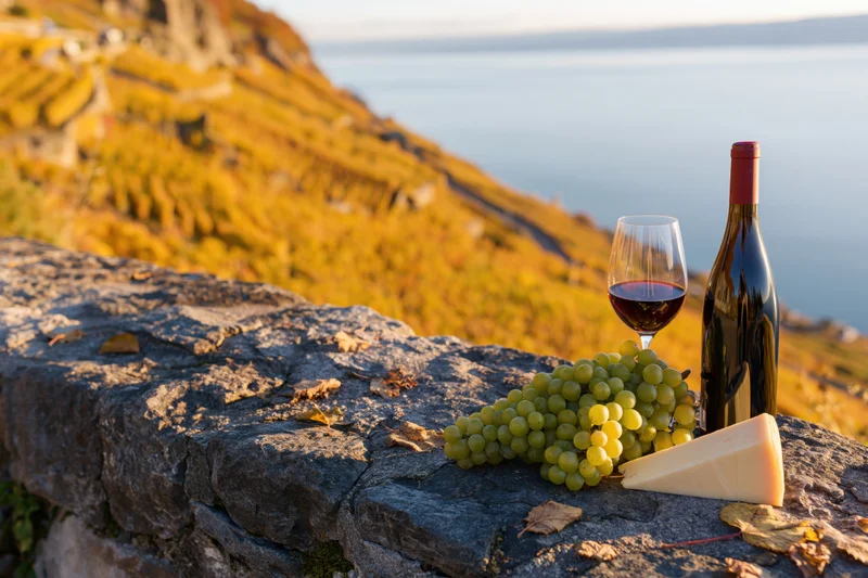 Red wine glass and bottle with green grapes and cheese on stone ledge overlooking vineyard hillside at sunset