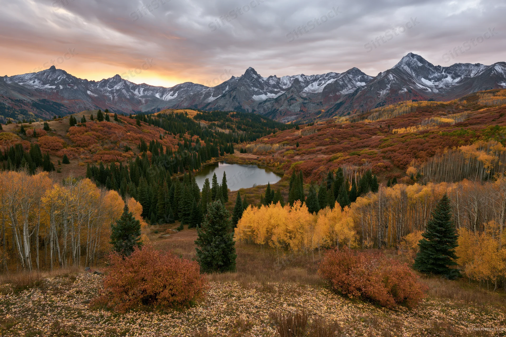 Autumn forest with golden aspen trees and evergreens surrounding a small alpine lake in a mountain valley at sunset
